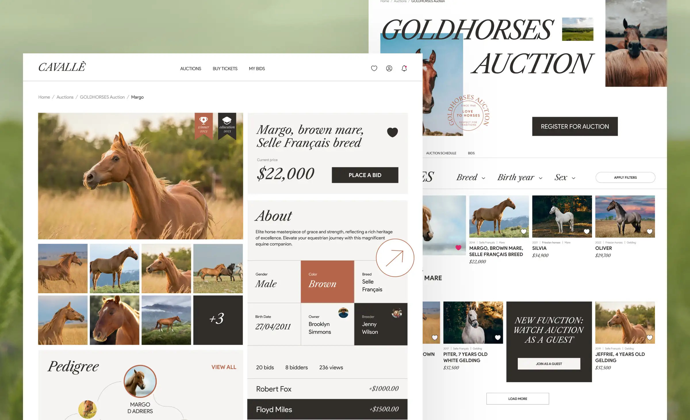 A horse auction marketplace design concept