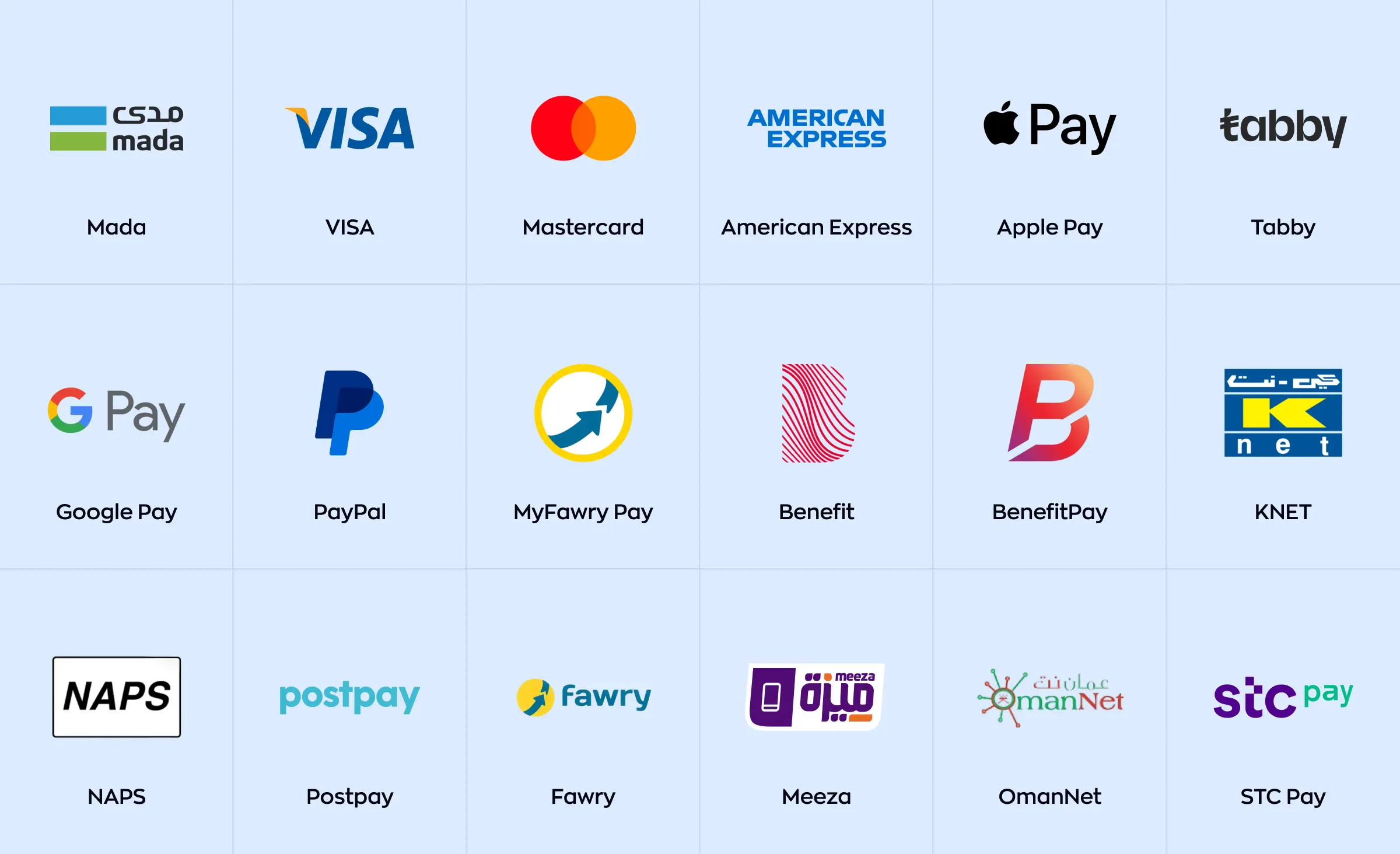 Payment rails and platforms available in the MENA region