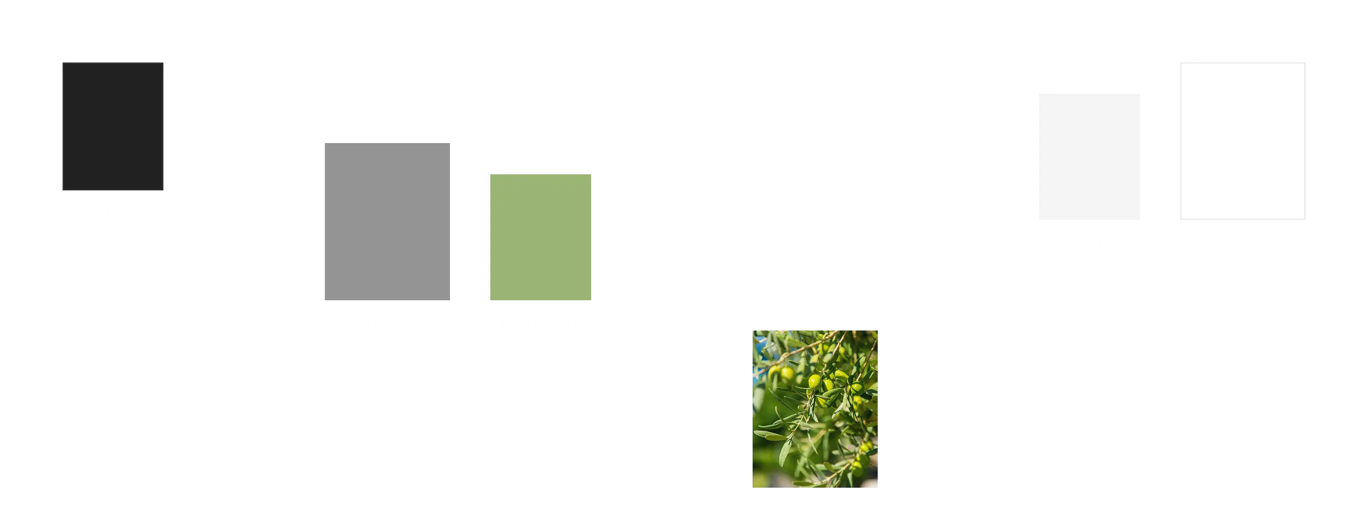 Brand color palette of dark grey, grey, sage green and light neutral swatches beside an olive branch photo.