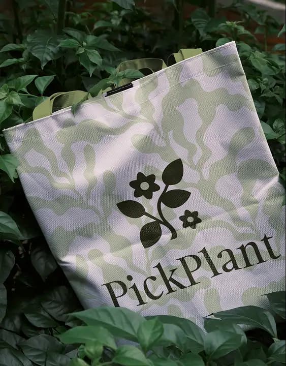Branded plant marketplace tote bag lying among green foliage.