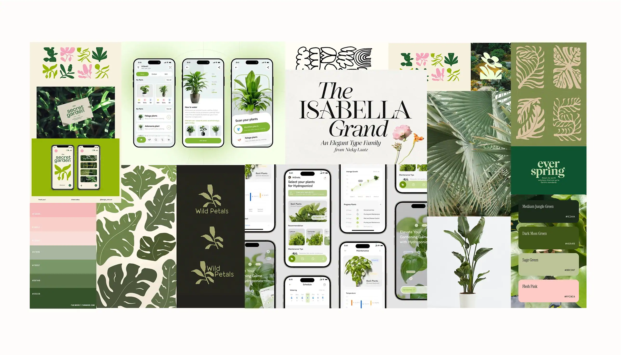 Mood board of plant photos, green colour palettes, typography samples, and app screens guiding the visual style.