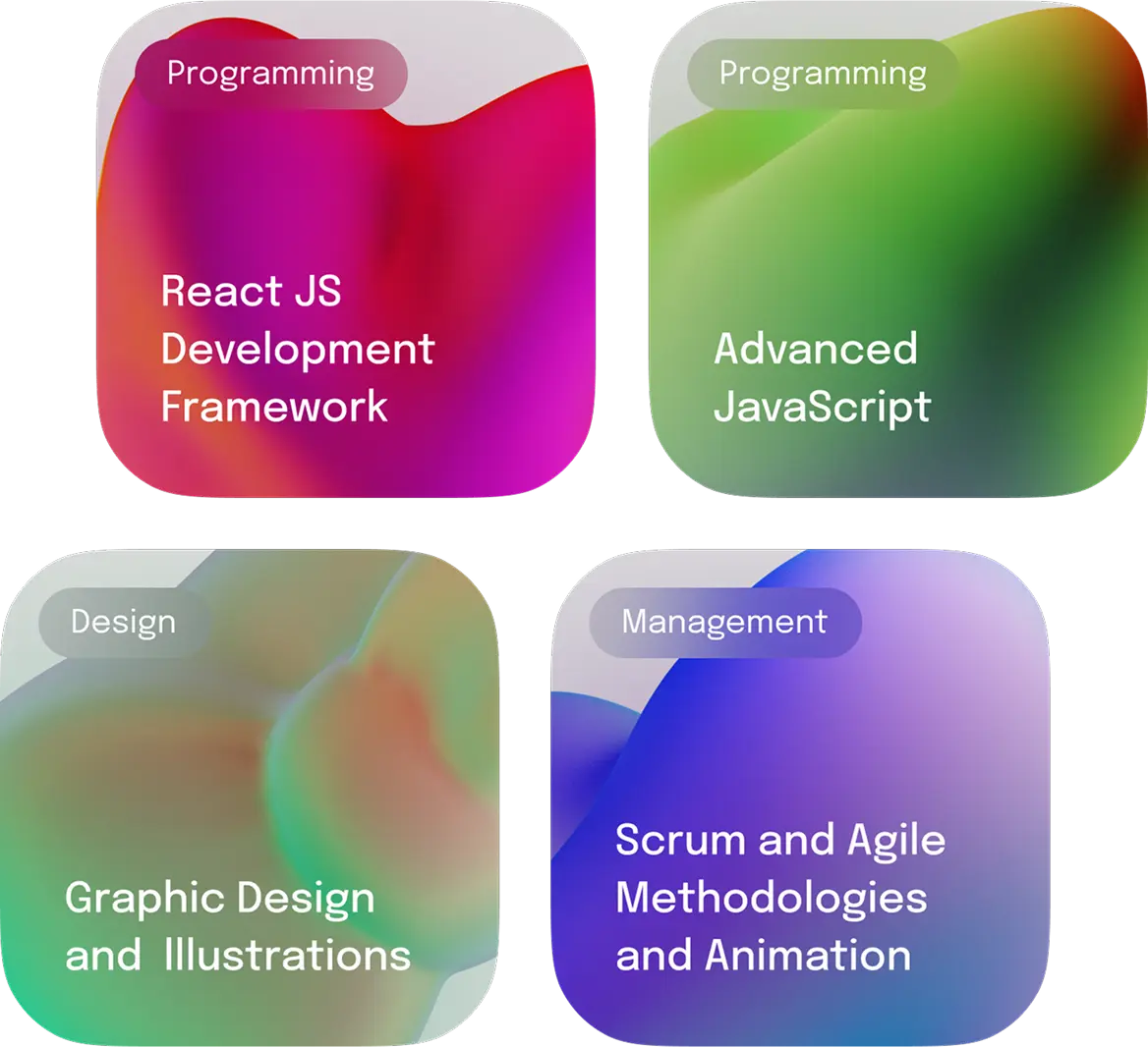 Course cards for programming, design and management tracks in the catalog.